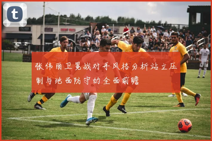 张伟丽卫冕战对手风格分析站立压制与地面防守的全面前瞻